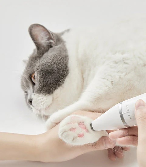 petkit trimmer kisa.jpg